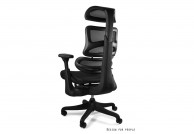 Ergonomiczny fotel Ergothrone, czarny ergonomiczny fotel ergothrone